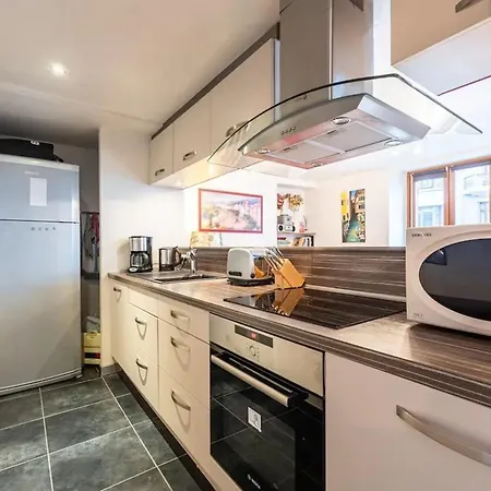 Apartmán Chaleureux A Annecy, 63 M², Cheminee