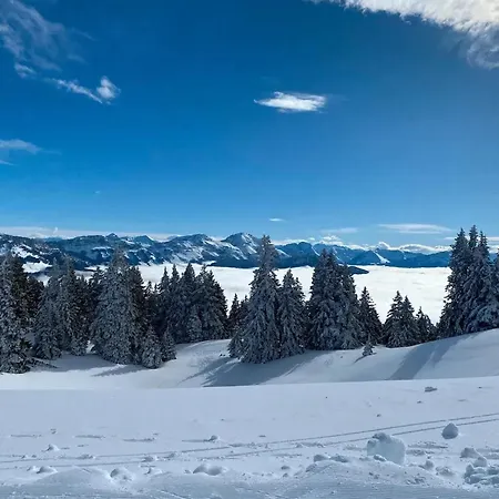 Chaleureux A Annecy, 63 M², Cheminee Apartmán Annecy