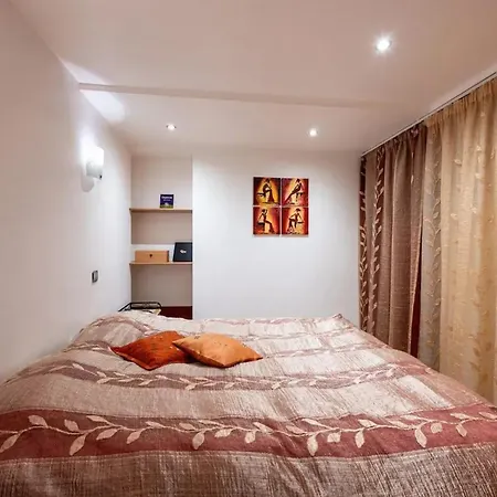 Chaleureux A Annecy, 63 M², Cheminee Annecy