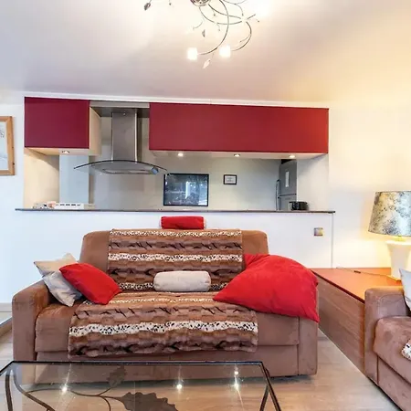 شقة Chaleureux A Annecy, 63 M², Cheminee *