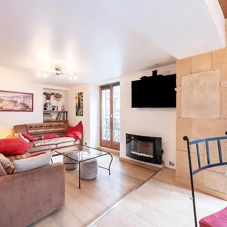 Chaleureux A Annecy, 63 M², Cheminee آنسي