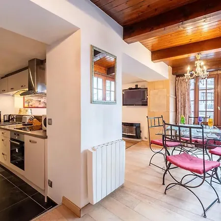 Chaleureux A 63 M² Cheminee Annecy
